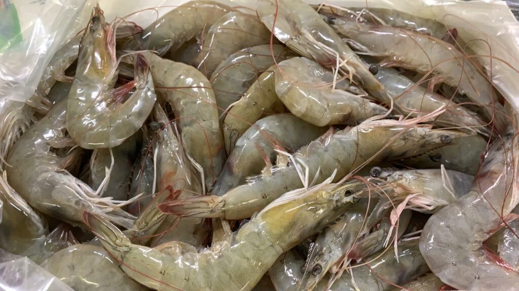 إندونيسيا تتخلص من أطنان من الروبيان الملوث بمادة مشعة