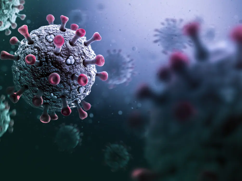 تحذير عالمي: فيروسان حيوانيان قد يطلقان أوبئة بشرية مستقبلية