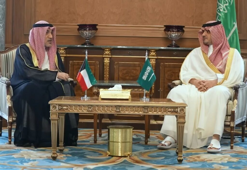 النائب الأول التقى وزير الداخلية السعودي: جهود كبيرة تبذلها المملكة في تنظيم موسم الحج