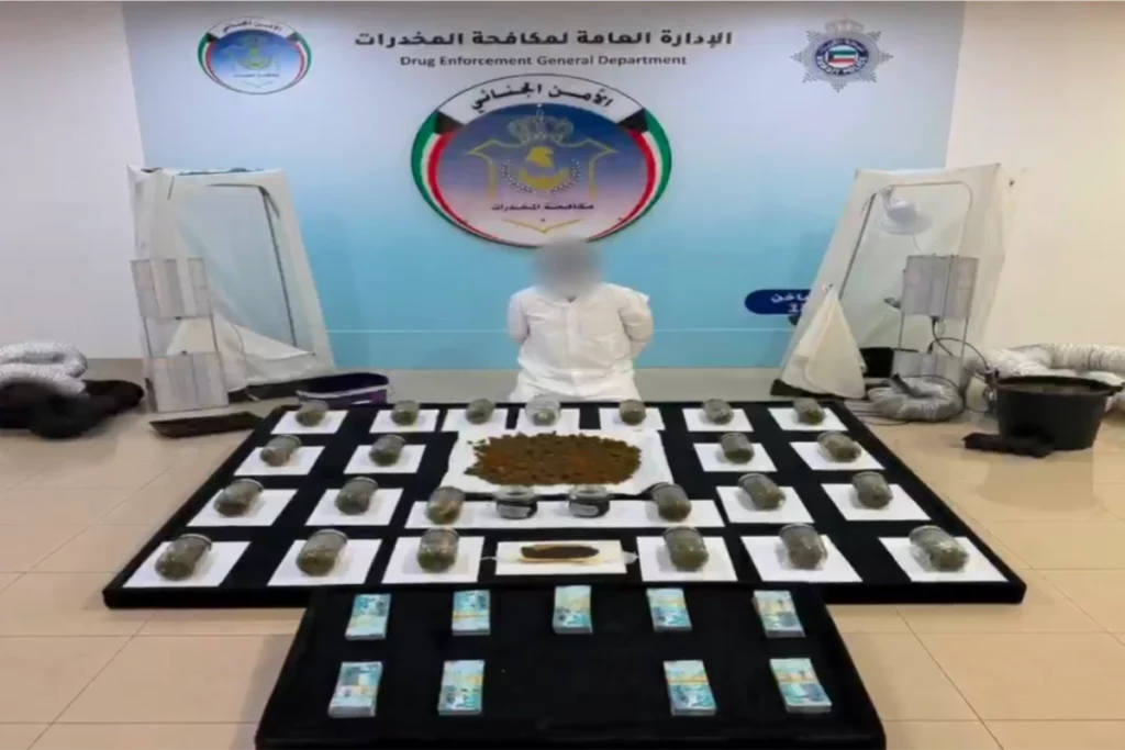«الداخلية»: ضبط مواطن يدير مزرعة لزراعة الماريجوانا